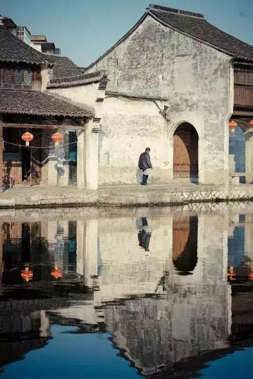 救援可爱小松鼠